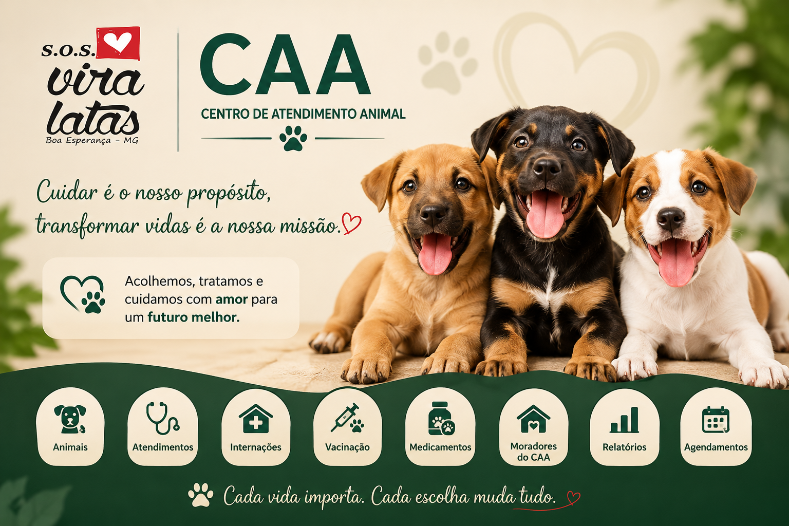Centro de Atendimento Animal - SOS Vira Latas